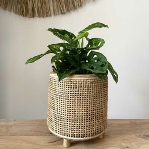 Korbgeflecht Blumentopf Rattan Nature Boho kleiner Topf mit Monstera